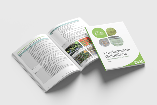 FG Mockup_cover and C10